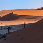  Deadvlei Sossusvlei