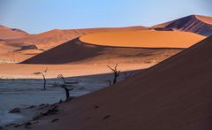  Deadvlei Sossusvlei