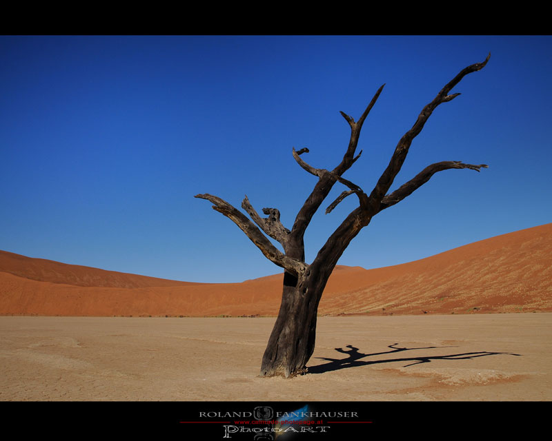 Deadvlei - Sossusvlei