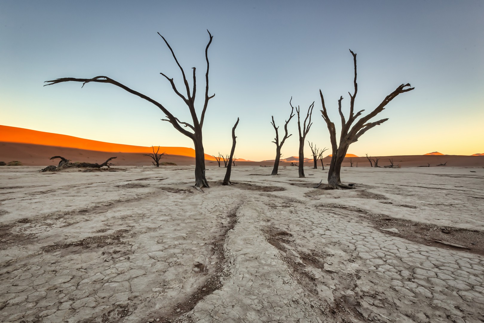 deadvlei sunrise