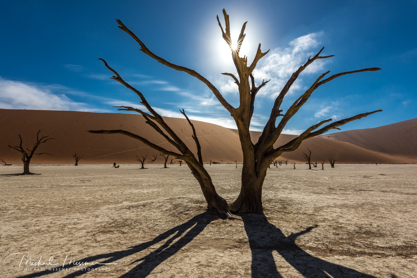 Deadvlei "the dictator" 