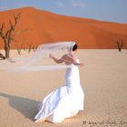 Deadvlei Wedding