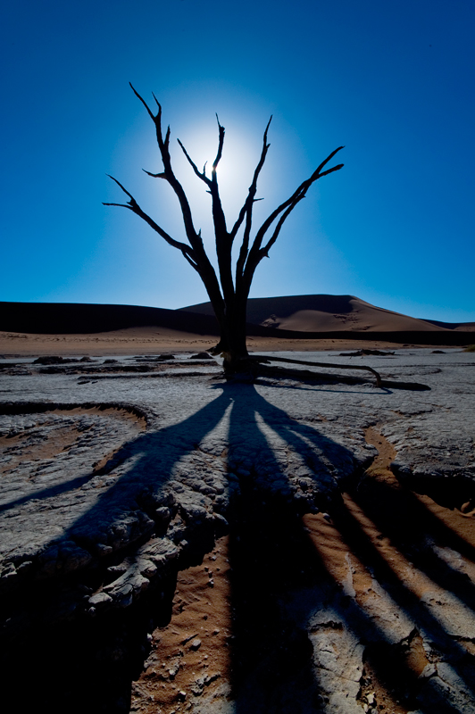 Deadvlei_01