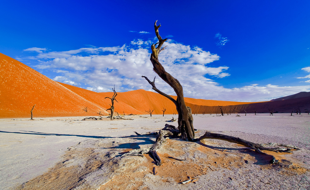 Deadvlei_03