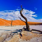 Deadvlei_03