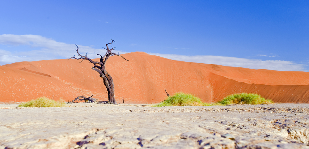 Deadvlei_04