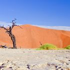 Deadvlei_04