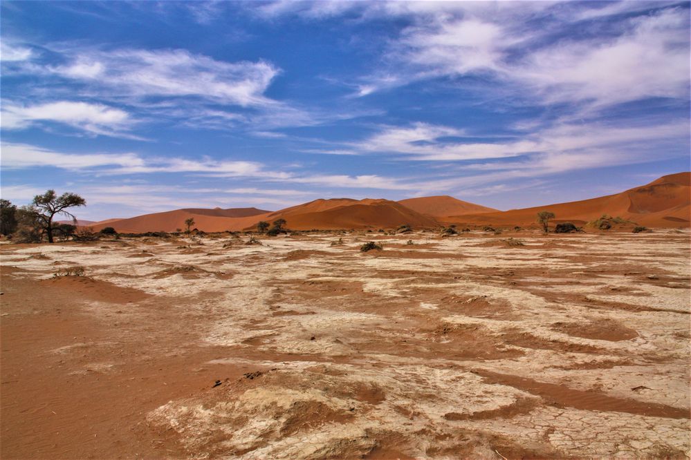 Deadvlei2