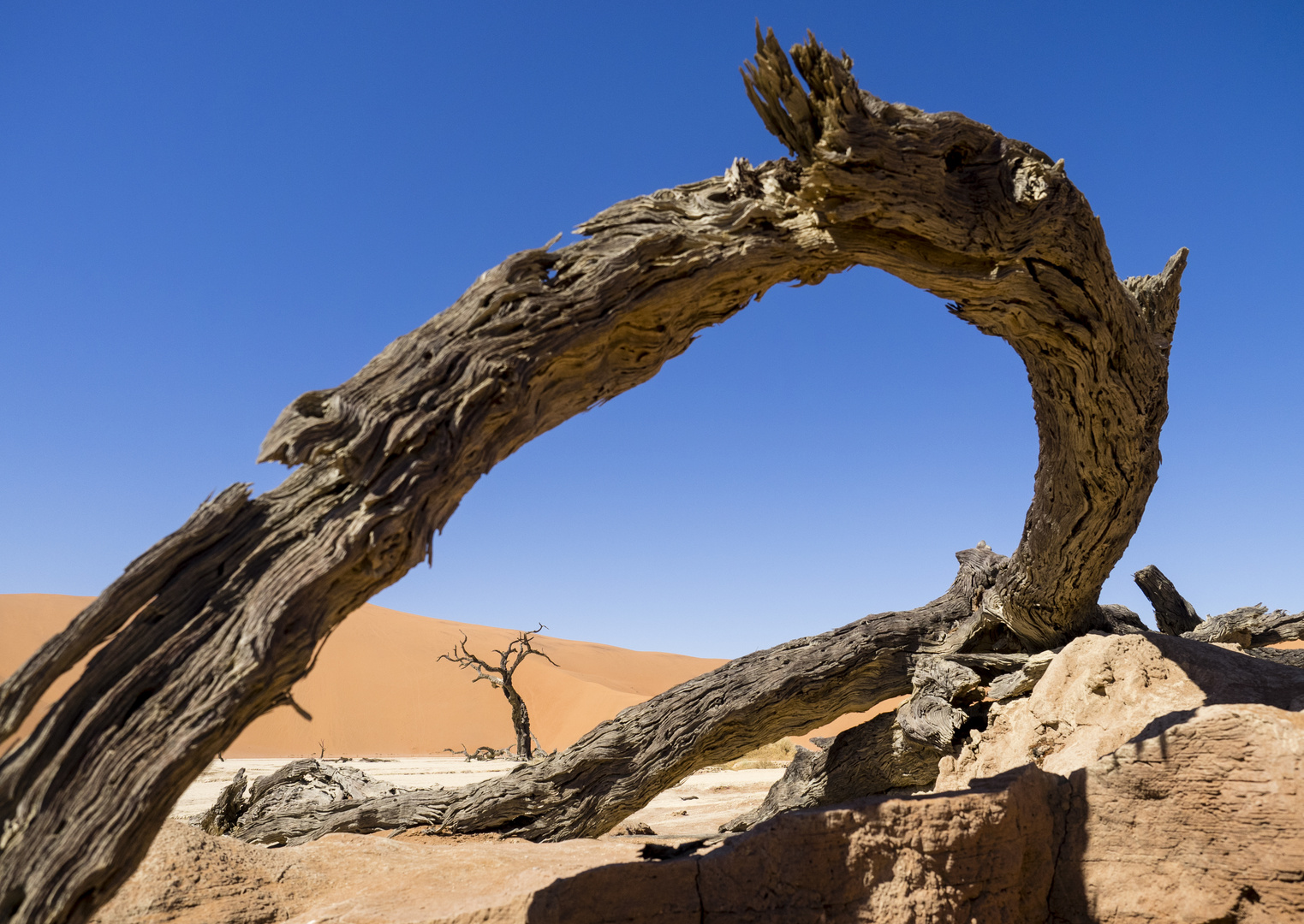 Deadvlei_Durchblick