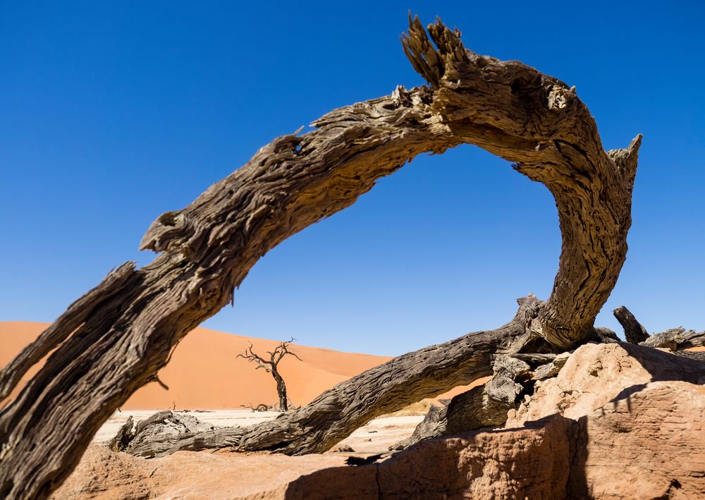 Deadvlei_Durchblick