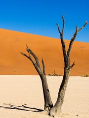 Deadvlei_Trikolore