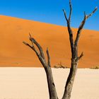 Deadvlei_Trikolore