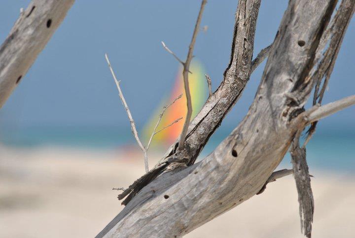 DEADWOOD, CAYO LEVISA, CUBA