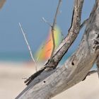 DEADWOOD, CAYO LEVISA, CUBA