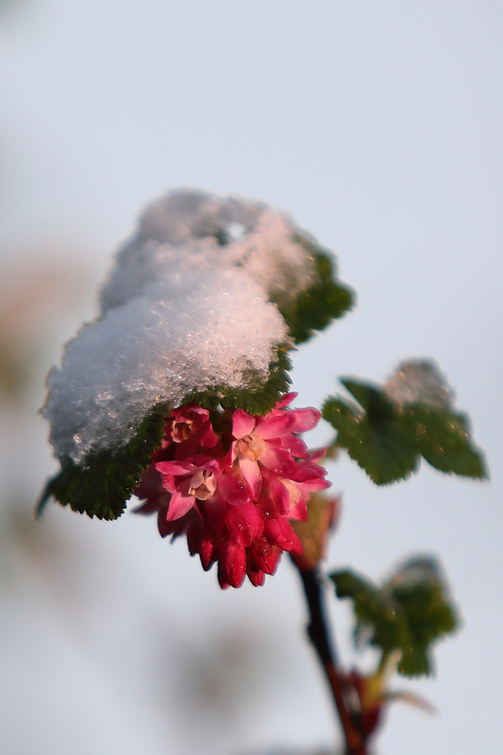 Dear Winter: It's time to say Goodbye