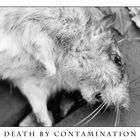 Death by Contamination