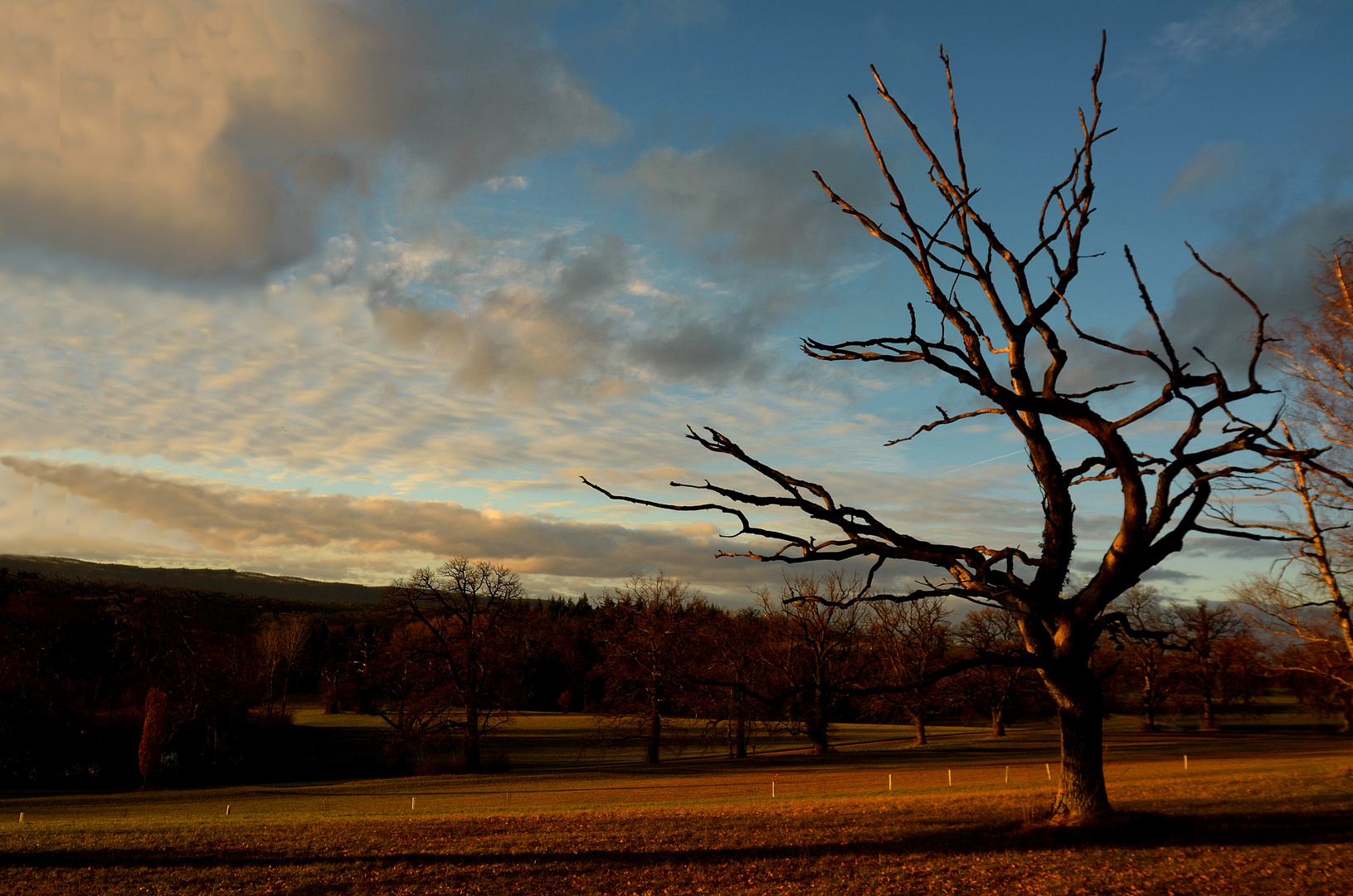 Death of the Nature