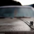 Death Proof