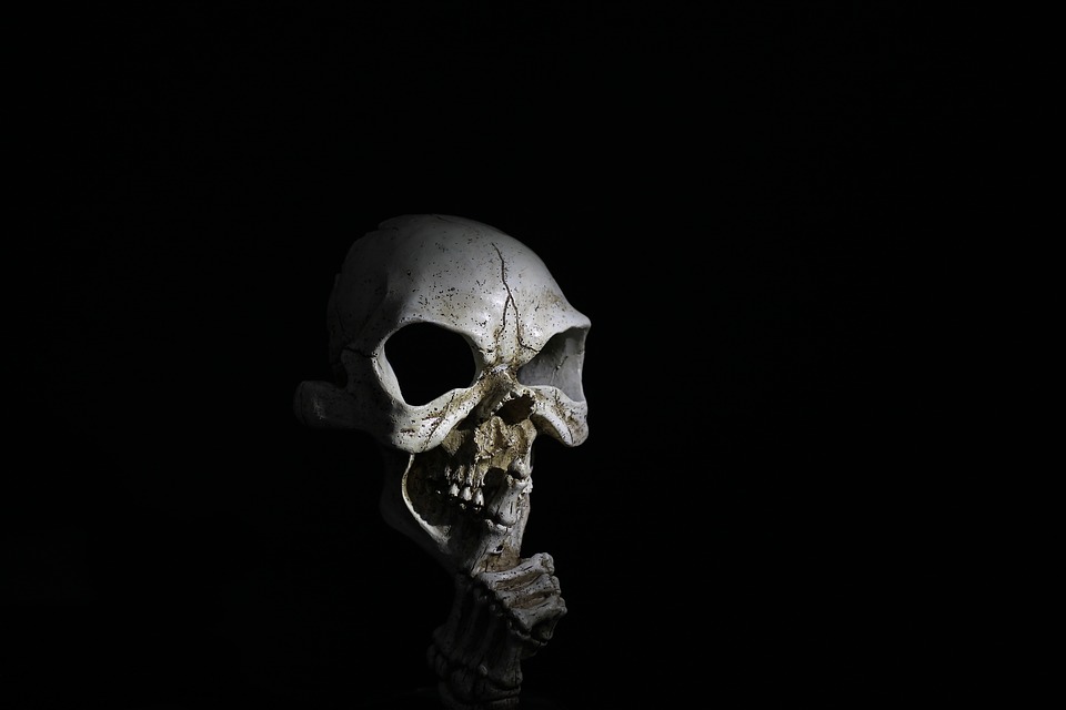 Death Skull Walpaper 
