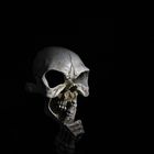 Death Skull Walpaper 