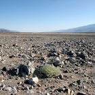 Death Valley (1)