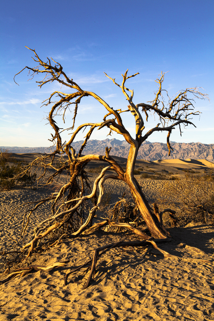 Death Valley