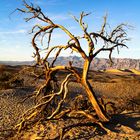 Death Valley