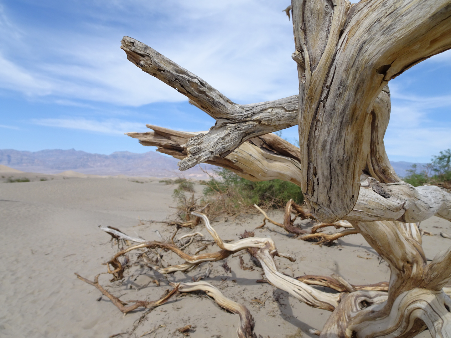 Death Valley 