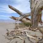 Death Valley 