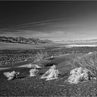 Death Valley - 2