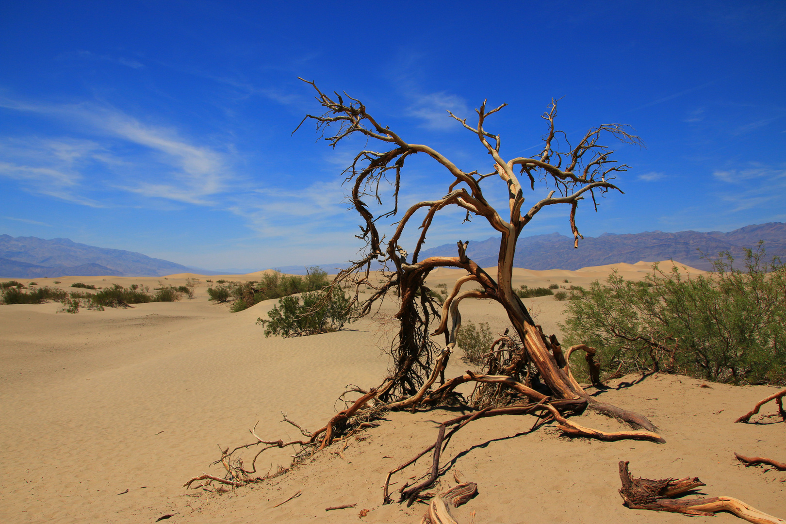 Death Valley (2) - Juni 2015