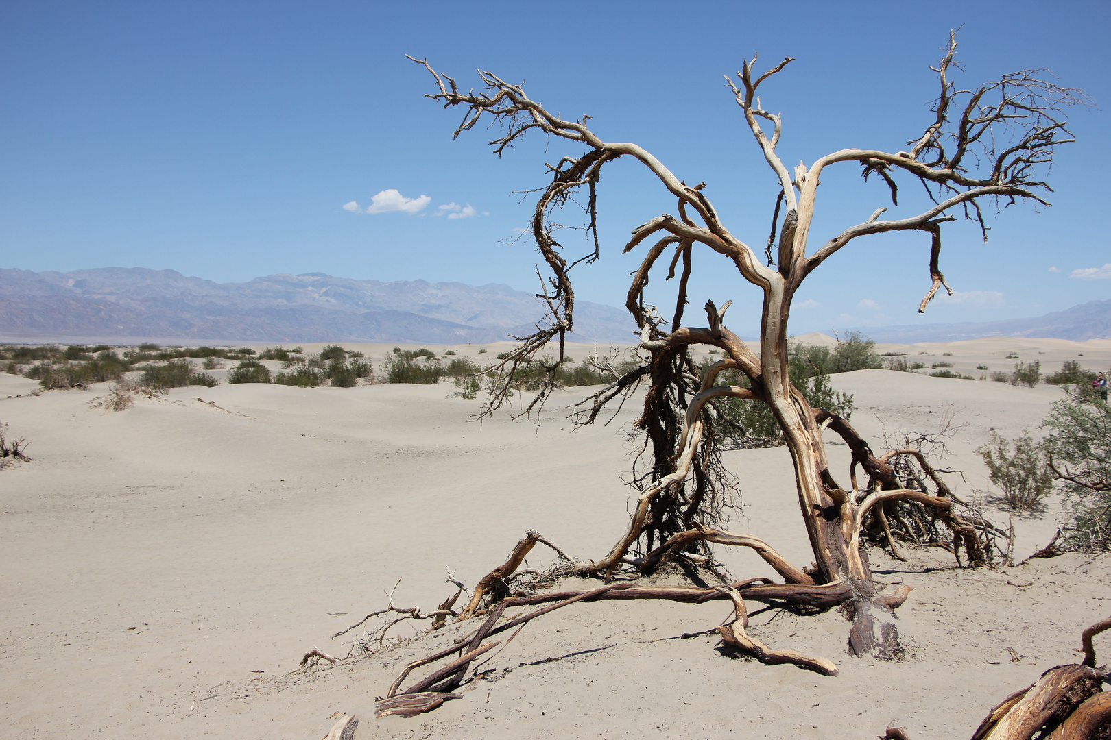 Death Valley