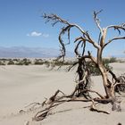 Death Valley