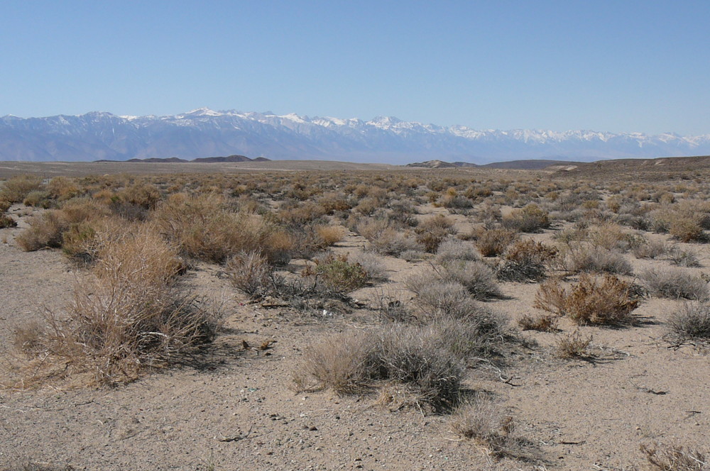 death valley