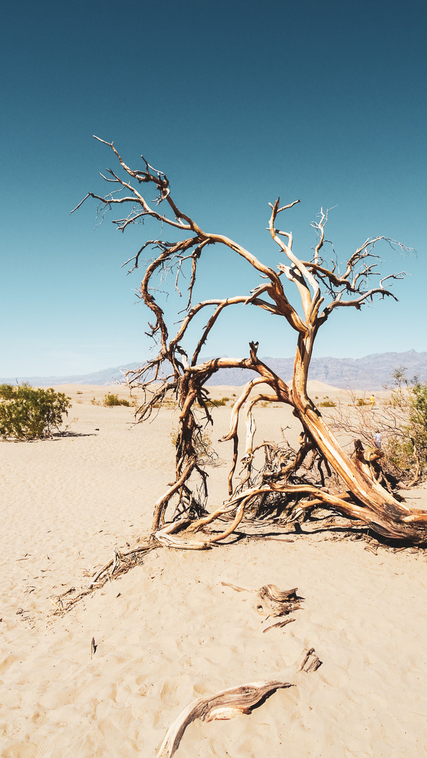 Death Valley