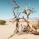 Death Valley