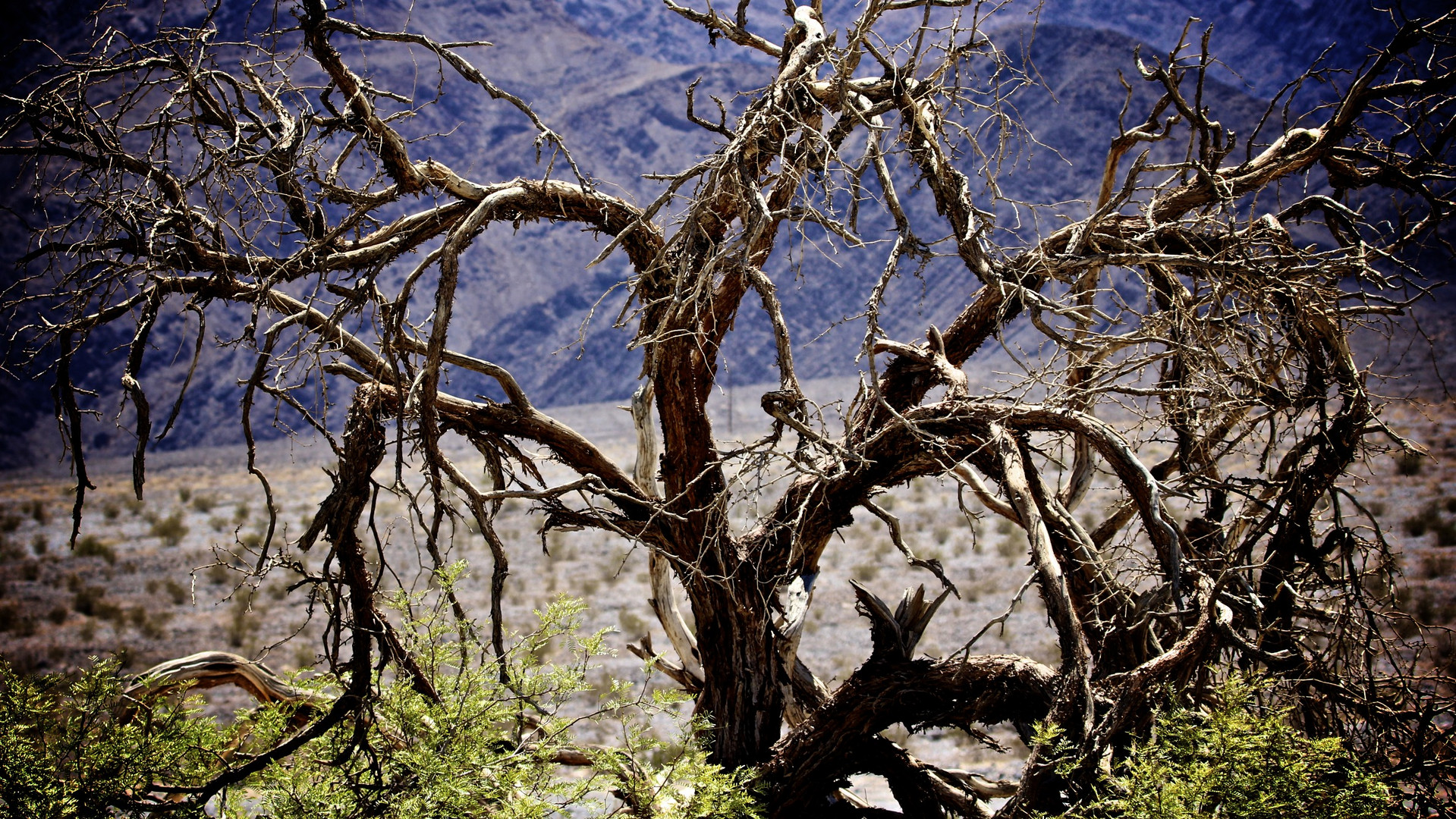 Death Valley....