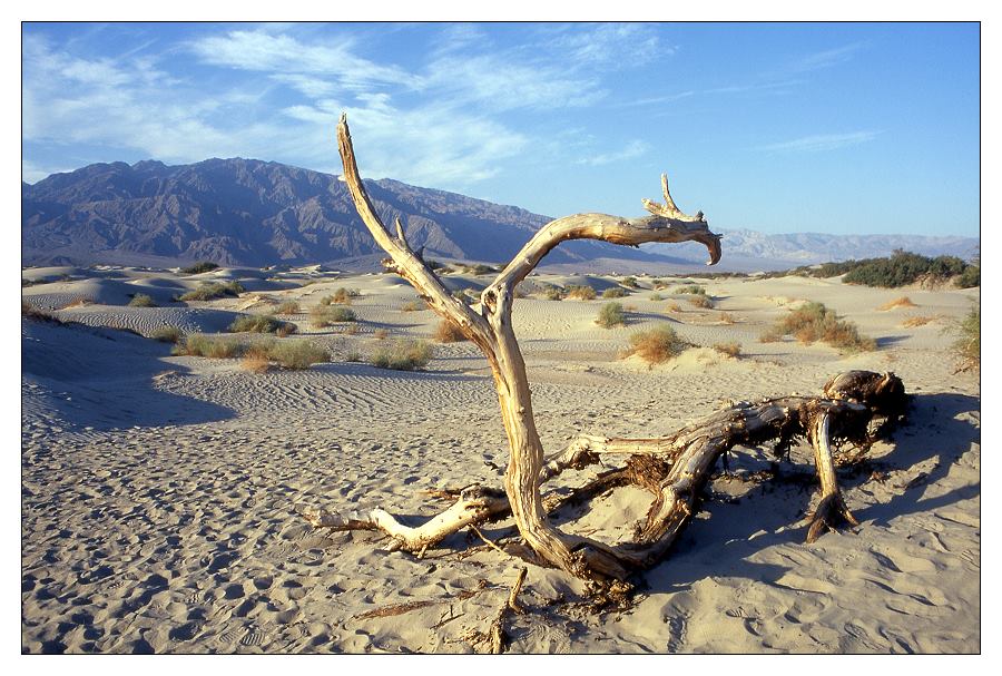 Death Valley