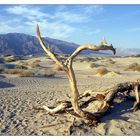 Death Valley