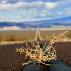 Death Valley