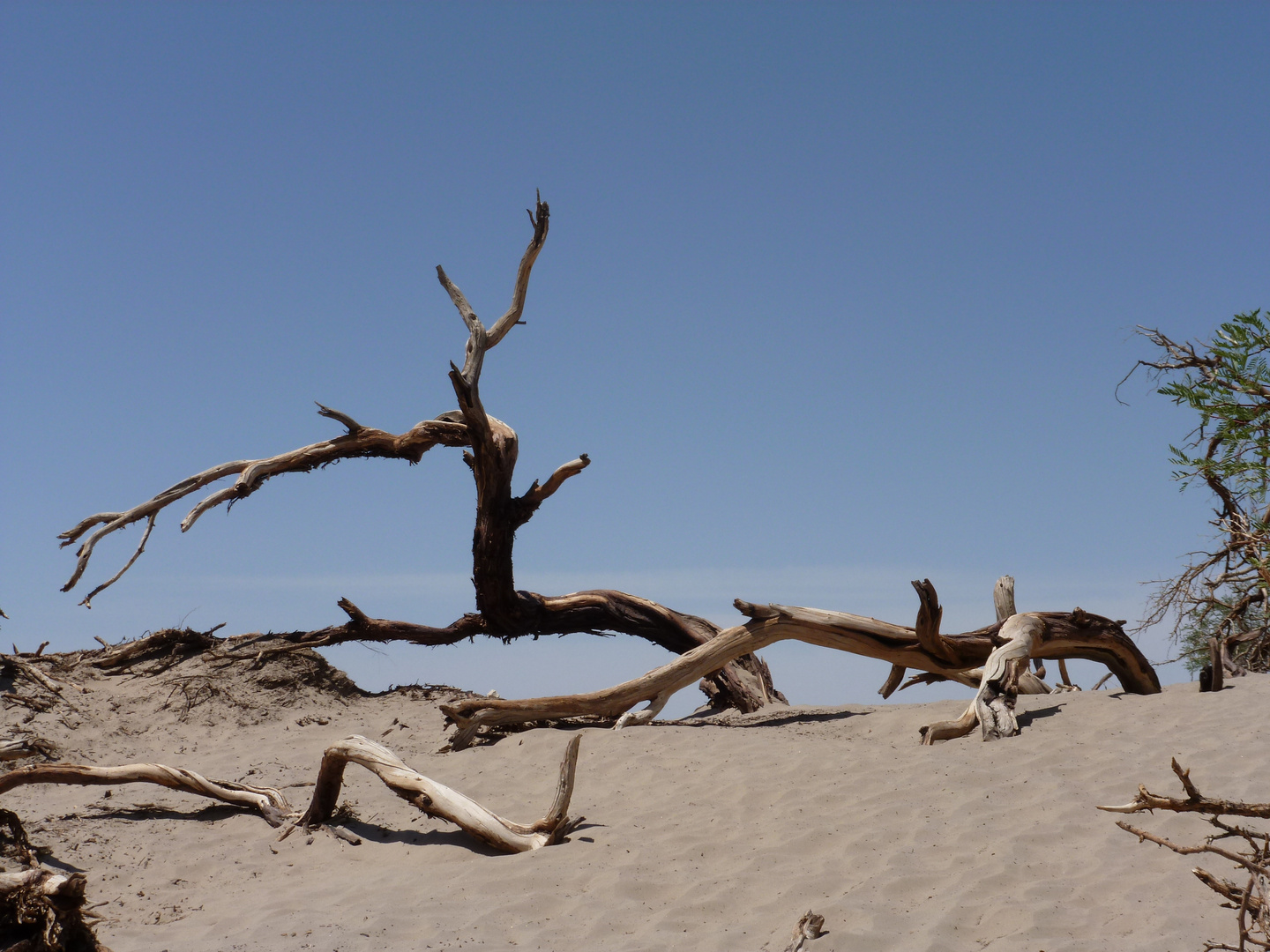 Death Valley