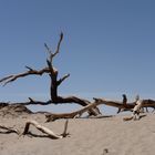 Death Valley