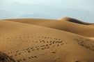 Death Valley NP