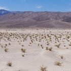 Death Valley