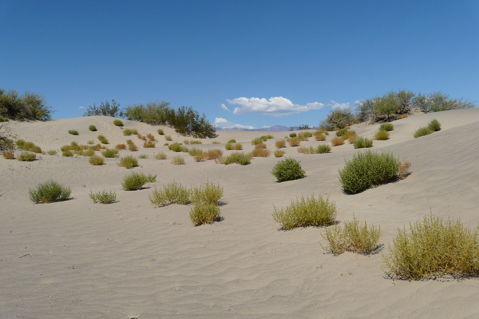 Death Valley