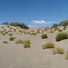 Death Valley