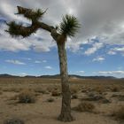 Death Valley