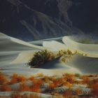 Death Valley / die Wanderdüne
