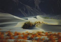 Death Valley / die Wanderdüne