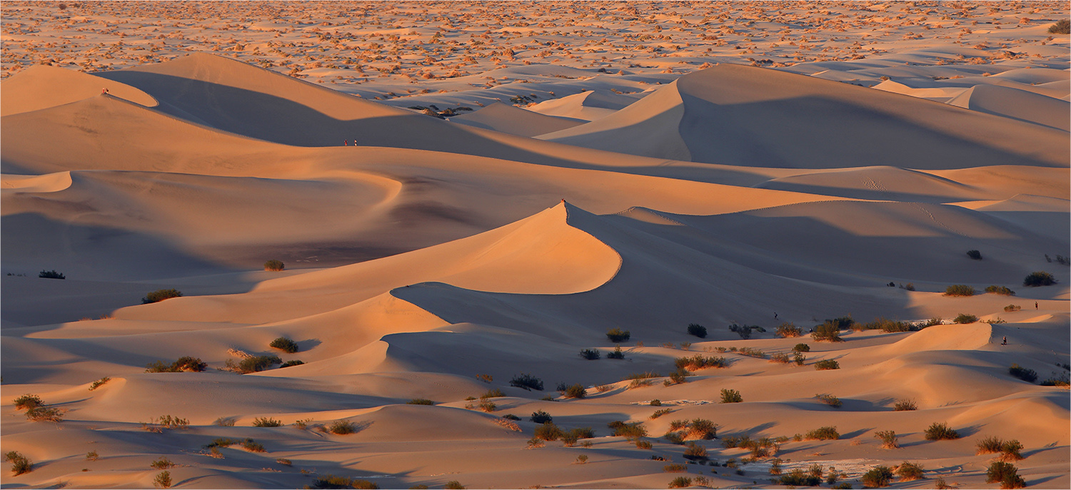 Death Valley - Dünenbezwinger